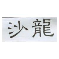 沙龍