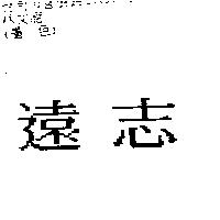 遠志