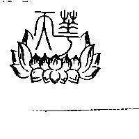 天華及圖