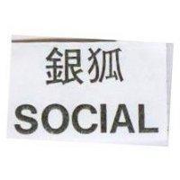 銀狐