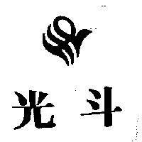 光斗及設計圖