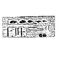 上旺 頭及圖