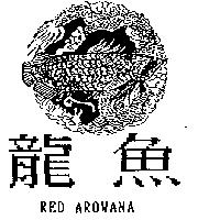 龍魚及圖 RED AROWANA