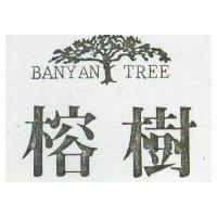 榕樹及圖 BANYAN TREE