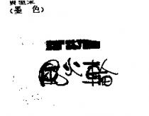 風火輪 CAR STYLING