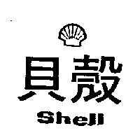 貝殼及圖 SHELL