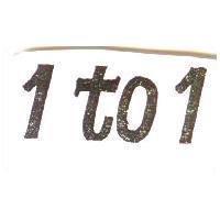1TO1