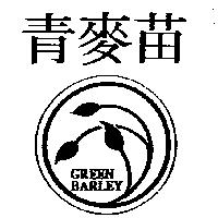 青麥苗及圖 GREEN BARLEY