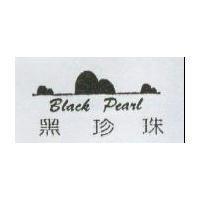 黑珍珠及圖 Black Pearl