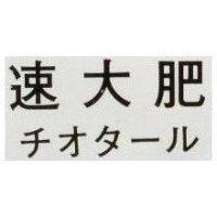 速大肥 チオタ–ル