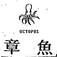章魚及圖 OCTOPUS