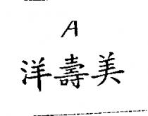 洋壽美及設計圖 A