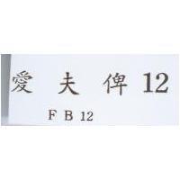 愛夫俾 12 FB12