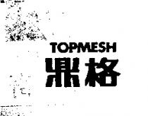 鼎格 Topmesh
