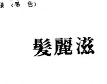 髮麗滋