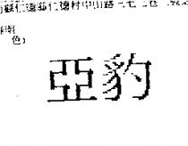亞豹