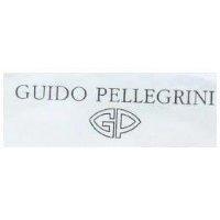GUIDO PELLETRINI & GP LOGO