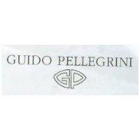 GUIDO PELLEGRINI & GP LOGO