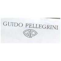 GUIDO PELLEGRINI & GP LOGO