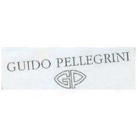 GUIDO PELLEGRINI & GP LOGO