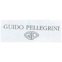 GUIDO PELLEGRINI & GP LOGO