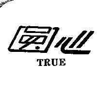 圓心 TRUE