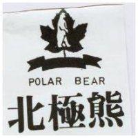 北極熊及圖 POLAR BEAR