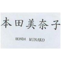 本田美奈子 HONDA MINAKO