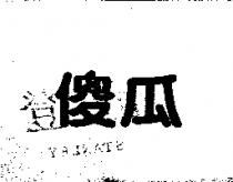 傻瓜
