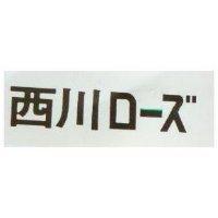西川 ロ–ズ
