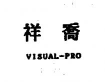 祥喬 VISUAL-PRO