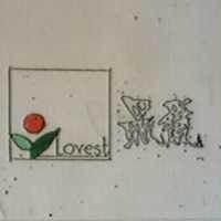最愛及圖 LOVEST
