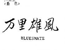 万里雄風 BLUESMATE