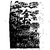 金松及圖
