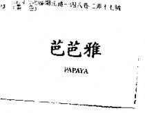 芭芭雅 PAPAYA