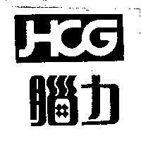 腦力及圖 HCG