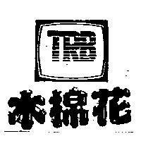 木棉花及圖 TRB