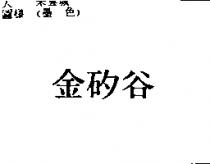 金矽谷