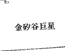 金矽谷巨星