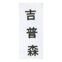 吉普森 