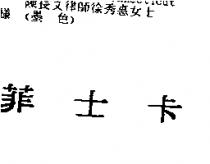 菲士卡