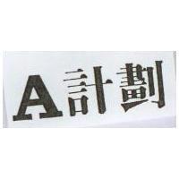 A 計劃