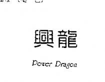 興龍 Power Dragon