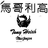 馬哥利高及圖 Tony Hsieh Macgregor