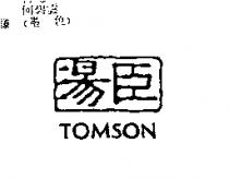 湯臣 TOMSON