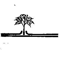 達盛農業有限公司標章