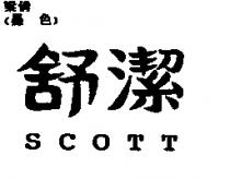 舒潔 SCOTT