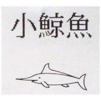 小鯨魚及圖