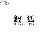 銀狐 Silver Fox