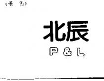北辰 P&L